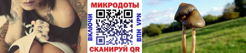Псилоцибиновые грибы MAGIC MUSHROOMS  Купить  Михайловка 